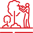 tree services